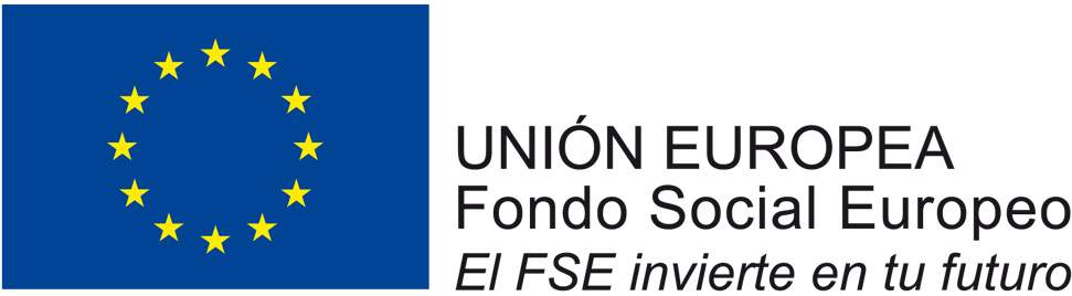 logo fse