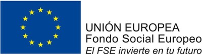 Logo FSE
